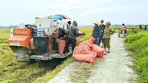 Mùa màng bội thu mang lại niềm vui cho nông dân