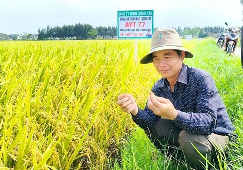 Tái cơ cấu ngành nông nghiệp tại Hà Tĩnh đang đi đúng hướng