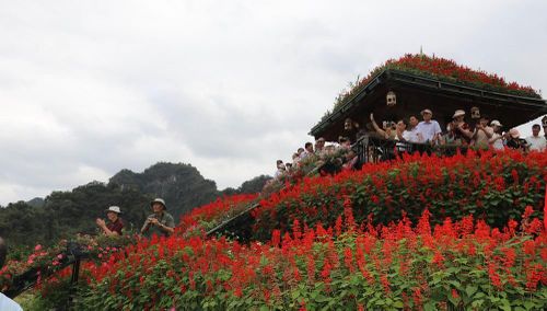 Du khách thích thú chiêm ngưỡng và trải nghiệm minishow "Khúc hát thiên nhiên" tại Đảo hoa, Khu du lịch sinh thái Thung Nham, tỉnh Ninh Bình. Ảnh: Hải Yến - TTXVN