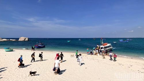 Nhiều du khách tham gia trải nghiệm sinh thái trên đảo Cù Lao Câu.