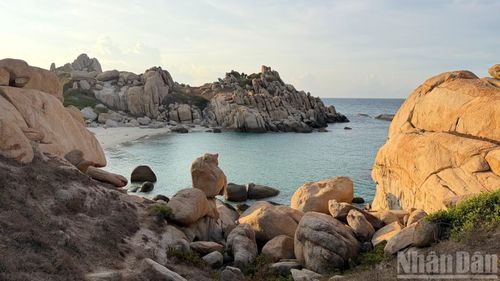 Trên đảo có những khối đá với nhiều kích cỡ, hình thù nằm dày đặc đã tạo một khung cảnh, bức tranh tuyệt đẹp cho du khách.