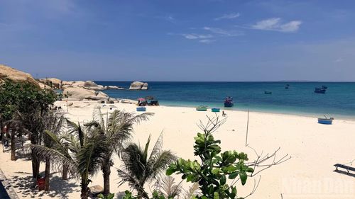 Nhiều bãi đá nằm dưới biển, bên dưới là bờ cát trắng mịn, cũng trở thành nơi trú ẩn cho nhiều loại sinh vật biển.