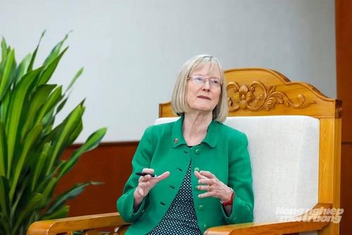 Đại sứ Gillian Bird cho biết, Australia kỳ vọng có thể xuất khẩu trái vải sang thị trường Việt Nam, đồng thời thúc đẩy nhập khẩu quả chanh từ Việt Nam vào Australia. Ảnh: Khương Trung