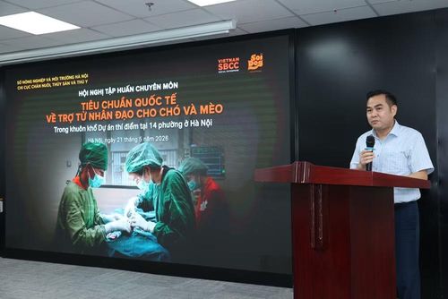 Ông Ngô Đình Loát, Phó Chi cục Trưởng Chi cục Chăn nuôi, thủy sản và thú y Hà Nội phát biểu.
