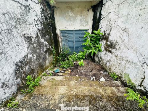 Hệ thống cửa sắt, hàng rào hoen gỉ, hư hỏng. Bên trong sân vận động, nhiều khu vực ngập rác thải sinh hoạt gây mất mỹ quan và tiềm ẩn nguy cơ ô nhiễm môi trường.