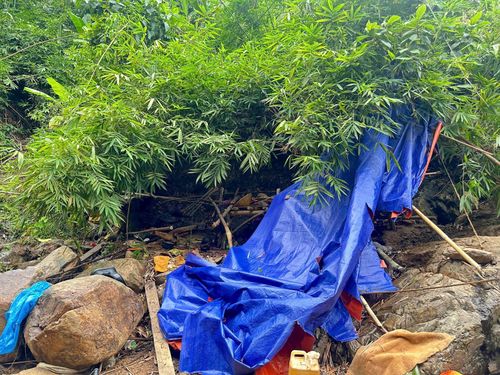 Lực lượng chức năng kiểm tra, truy quét tình trạng khai thác vàng trái phép.