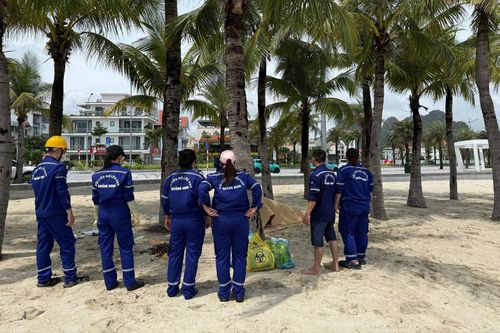 Thi thể 2 nạn nhân được đưa vào bờ để bàn giao cho cơ quan chức năng. Ảnh: Đội cứu hộ, cứu nạn tỉnh Quảng Ninh