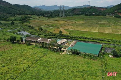  Hệ thống chuồng trại chăn nuôi chồn sinh sản khép kín rộng khoảng 1.000m2. 