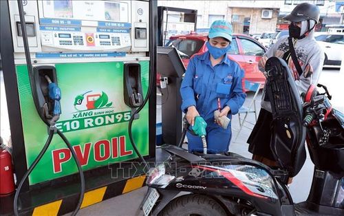 Người dân mua xăng sinh học E10 bán tại cửa hàng kinh doanh xăng dầu PVOIL trên phố Thái Thịnh, Hà Nội. Ảnh: Trần Việt/TTXVN