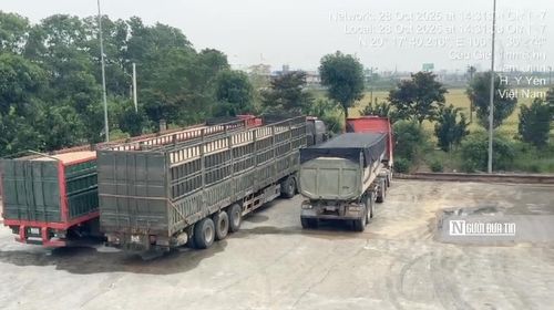 Nhiều xe container, xe mooc rào vận chuyển cát trên cao tốc bị lực lượng CSGT xử lý.