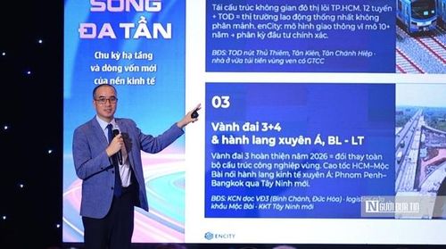 Ông Nguyễn Đỗ Dũng, Chuyên gia quốc tế về quy hoạch và thiết kế đô thị, đồng sáng lập kiêm Tổng Giám đốc enCity Urban Solutions và enfarm Agritech trình bày (ảnh SG).
