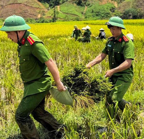 Trước những hành động “vì dân phục vụ”, anh Bun xúc động và cảm ơn sự giúp đỡ của lực lượng Công an xã. “Gia đình tôi rất biết ơn các cán bộ, chiến sĩ Công an xã đã đến giúp đỡ trong lúc khó khăn nhất. Nếu không có sự hỗ trợ này, chắc chắn tôi không thể thu hoạch lúa kịp trước khi trời mưa. Những việc làm của các anh khiến người dân chúng tôi cảm thấy rất ấm lòng”, anh Bun nói.
