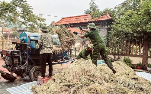 Tại xã Cẩm Tân, ngay từ đầu vụ thu hoạch, Công an xã đã xây dựng kế hoạch hỗ trợ các gia đình chính sách, hộ neo đơn. Nhiều cán bộ, chiến sĩ sau ca trực tiếp tục xuống đồng cùng bà con đến tận chiều muộn.