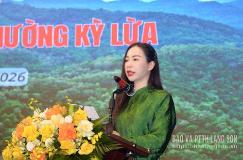 Lãnh đạo Trung tâm Xúc tiến Đầu tư, Thương mại và Du lịch tỉnh phát biểu tại hội nghị