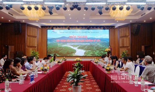 Các đại biểu tham hội nghị