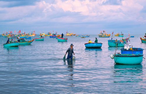Một ngư dân tranh thủ mò sò ven biển lúc trời vừa hửng sáng