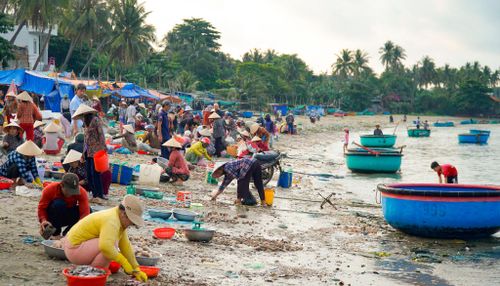 Không khí lao động bên bãi biển sôi động, bình yên mỗi sáng sớm