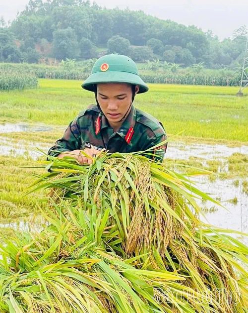 Những giọt mồ hôi trên đồng ruộng hôm nay không chỉ góp phần bảo vệ mùa màng, mà còn làm sáng đẹp hơn hình ảnh người lính trong lòng Nhân dân, tô thắm thêm tình đoàn kết gắn bó quân - dân bền chặt nơi quê hương Hoàng Cương.