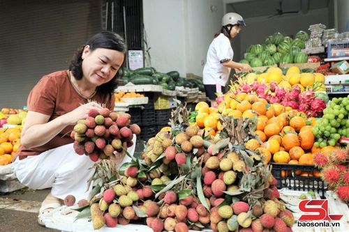 Vải Mường Bú được bày bán ở quán hoa quả bản Lầu, phường Tô Hiệu.
