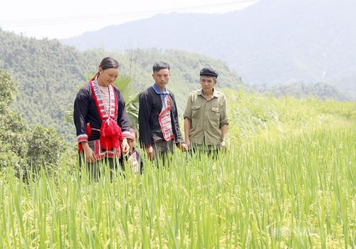 Không chỉ là trưởng thôn uy tín, ông Phàn Giào Vạng (bên phải) còn là cầu nối đưa chủ trương của Đảng đến gần hơn với đồng bào Dao.