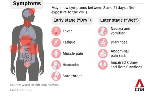 Đồ họa mô tả các triệu chứng thường gặp của bệnh Ebola, từ giai đoạn đầu với biểu hiện sốt, đau đầu, đau cơ đến giai đoạn nặng hơn với nôn mửa, tiêu chảy và suy giảm chức năng gan, thận. Triệu chứng có thể xuất hiện sau 2-21 ngày kể từ khi phơi nhiễm virus. Nguồn: Tổ chức Y tế thế giới. Đồ họa: CNA