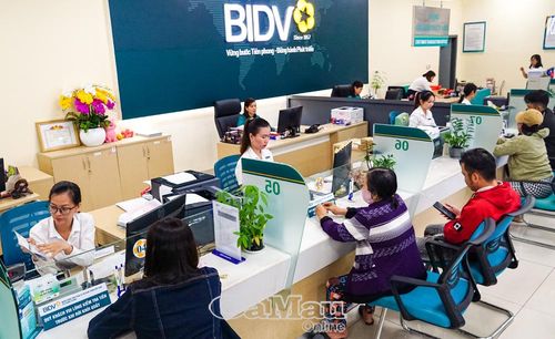 Hoạt động giao dịch tại Ngân hàng TMCP Ðầu tư và Phát triển Việt Nam (BIDV) - Chi nhánh Cà Mau diễn ra sôi động, góp phần thúc đẩy lưu thông vốn, hỗ trợ sản xuất, kinh doanh và tăng trưởng kinh tế địa phương.