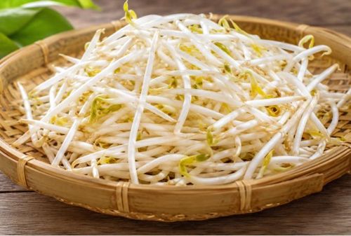 Giá đỗ là loại rau dễ dùng, giàu nước, vitamin và khoáng chất thiết… có thể giúp thanh nhiệt, hỗ trợ tiêu hóa…