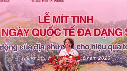 Bà Francesca Nardini, Phó Trưởng Đại diện thường trú Chương trình Phát triển Liên hợp quốc (UNDP) phát biểu tại sự kiện. (Ảnh: TL)
