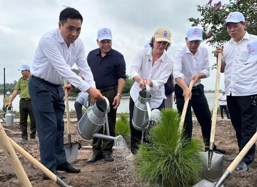 Các đại biểu tham gia hoạt động trồng cây tại sự kiện. (Ảnh: TL)