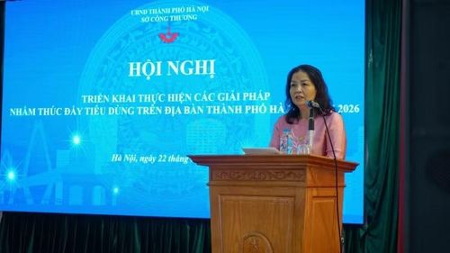 Chủ tịch Hiệp hội Các nhà bán lẻ Việt Nam Trần Thị Phương Lan phát biểu tại Hội nghị.