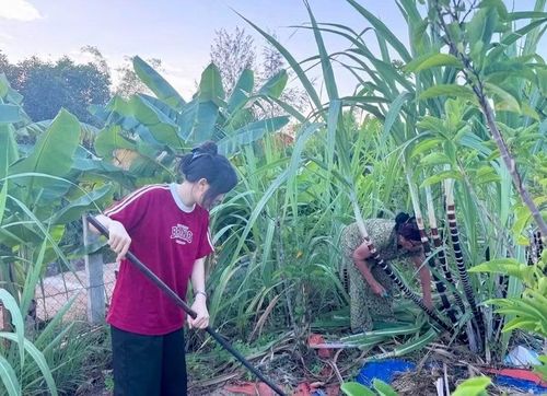 Không chỉ học giỏi, Thường An còn chăm chỉ phụ giúp bà công việc hằng ngày.