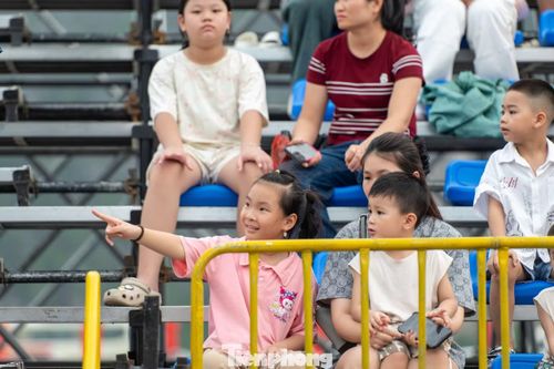 Nhiều bạn nhỏ được bố mẹ dẫn đi xem tỏ ra thích thú khi nhìn thấy những chú ngựa.