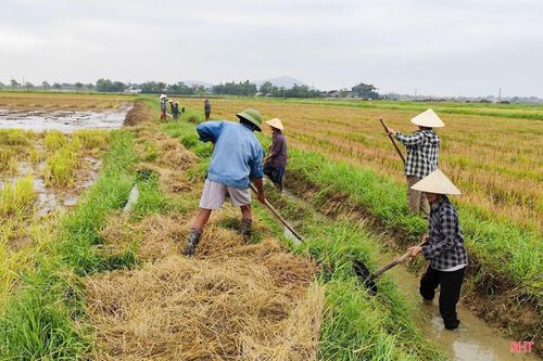 Các địa phương tổ chức ra quân nạo vét kênh mương, khơi thông dòng chảy nội đồng, phát dọn cây cỏ, bèo tây.