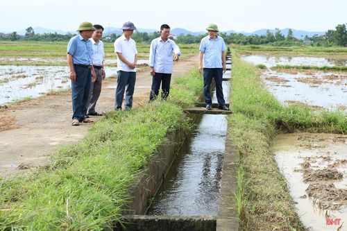 Công ty TNHH MTV Thủy lợi Hà Tĩnh kiểm tra quá trình đưa nước tưới về hệ thống kênh mương nội đồng.