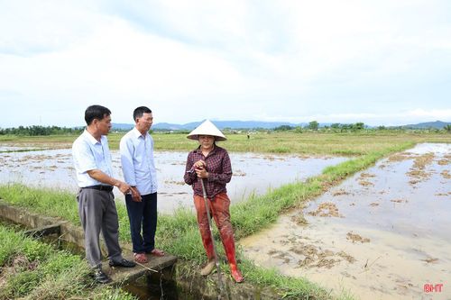 Nguồn nước cấp về đảm bảo, chị Nguyễn Thị Thanh (thôn Tràng Sơn, xã Gia Hanh) đã hoàn thành làm đất để xuống giống vụ hè thu.