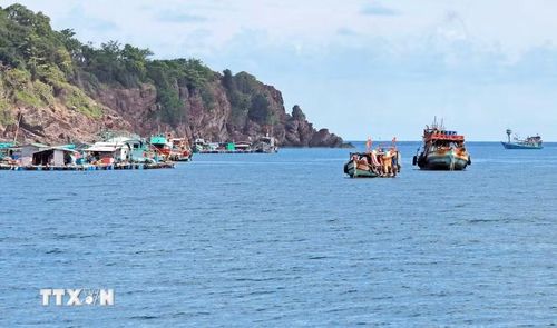 Tỉnh Cà Mau có vùng đặc quyền kinh tế biển rộng hơn 120.000 km2. (Ảnh: Huỳnh Anh/TTXVN)
