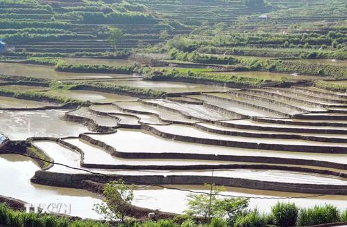 Nước đổ xuống lấp đầy các thửa ruộng bậc thang như những chiếc gương khổng lồ phản chiếu mây trời kỳ vĩ. (Ảnh: Quý Trung/TTXVN)