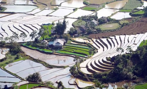 Những ngôi nhà của đồng bào các dân tộc đan xen giữa các thửa ruộng bậc thang tạo ra bức tranh quê thanh bình giữa đại ngàn. (Ảnh: Quý Trung/TTXVN)