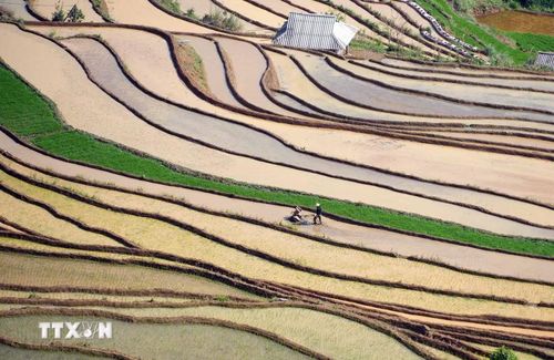 Người dân tranh thủ làm đất chuẩn bị cho mùa vụ mới. (Ảnh: Quý Trung/TTXVN)