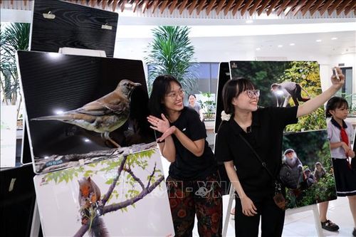 Giới trẻ hào hứng ghi lại hình ảnh cùng các loài động vật quý hoang dã tại triển lãm để lan tỏa việc bảo vệ môi trường tự nhiên.