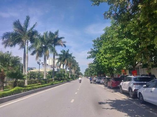 Một góc đường Lạc Long Quân, phường Hạc Thành.