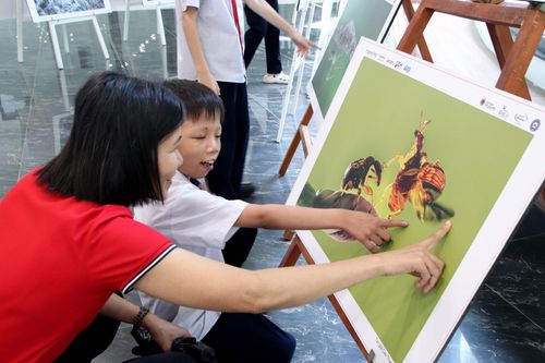 Học sinh tham quan hình ảnh trưng bày tại ngày hội. Ảnh: TRỌNG HUY