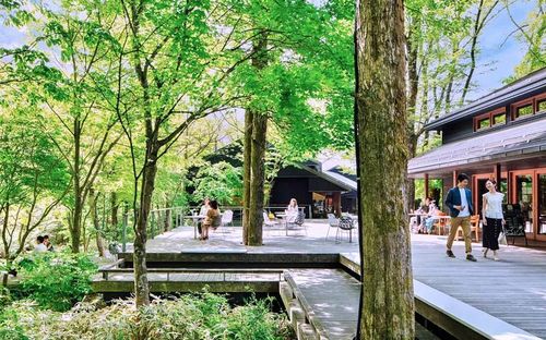 Khu phố Harunire Terrace với 16 cửa hàng và nhà hàng độc đáo dựa trên ý tưởng "cuộc sống thường nhật ở Karuizawa", làm phong phú thêm trải nghiệm khám phá Karuizawa của khách du lịch. Ảnh: karuizawa-kankokyokai.jp