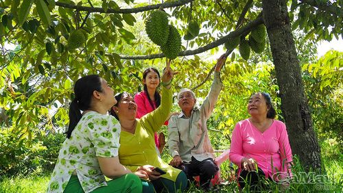 Ông Ba Liêm - người lặng lẽ hồi sinh dáng hình U Minh xưa cho hôm nay và mai sau.
