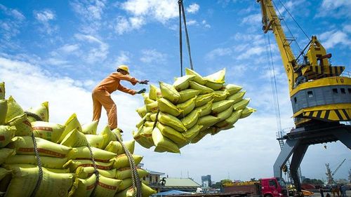 Động lực tăng trưởng xuất khẩu những tháng qua còn đến từ nhóm nông - thủy sản. Ảnh: ST