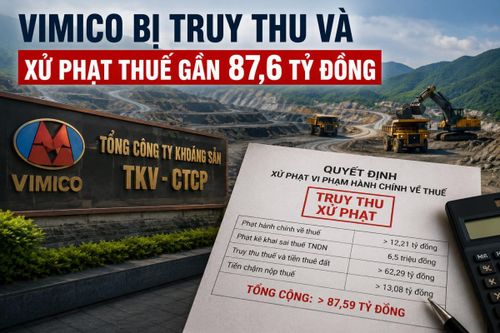 VIMICO bị truy thu thuế gần 87,6 tỷ đồng