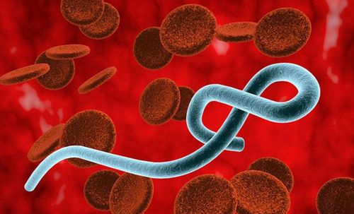 Chưa có vaccine và thuốc đặc trị chủng mới của bệnh Ebola. (Ảnh minh họa)