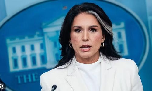 Ngày 22/5/2026, Giám đốc Tình báo quốc gia Mỹ Tulsi Gabbard tuyên bố sẽ từ chức và rời nhiệm sở vào ngày 30/6/2026.