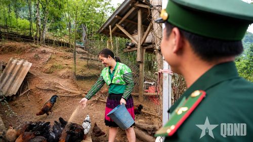 Chị Giàng Thị Sáng ở bản Cá Nọi phát triển đàn gia súc, gia cầm hàng trăm con nhờ mô hình sinh kế do Bộ đội Biên phòng hướng dẫn, hỗ trợ.