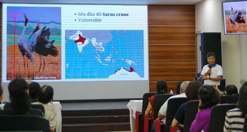Nhà khoa học, TS Trần Triết giới thiệu về đặc trưng của từng loài sếu, trong đó có sếu đầu đỏ. Ảnh: Minh Châu